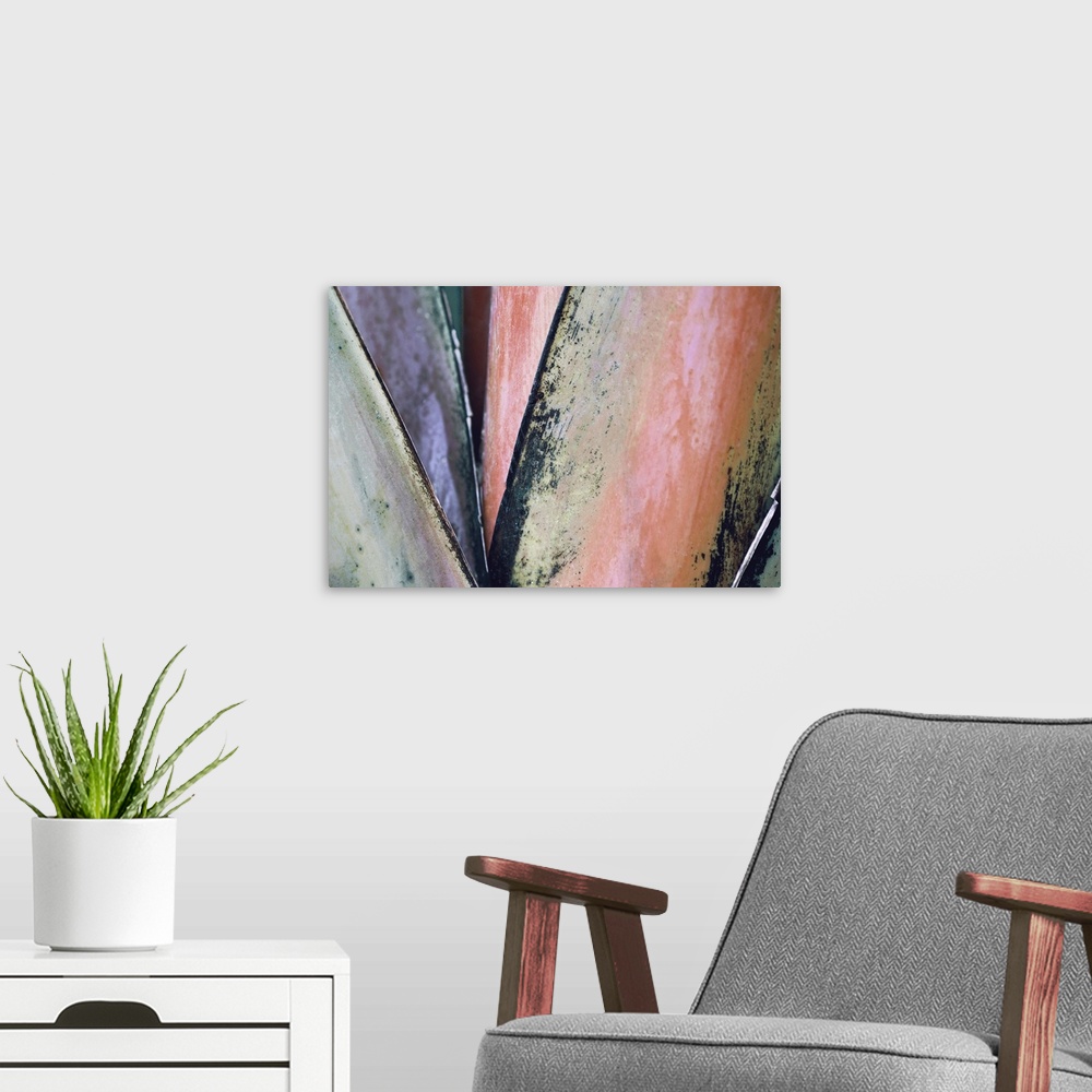 A modern room featuring Macro photograph of colorful palm leaves.