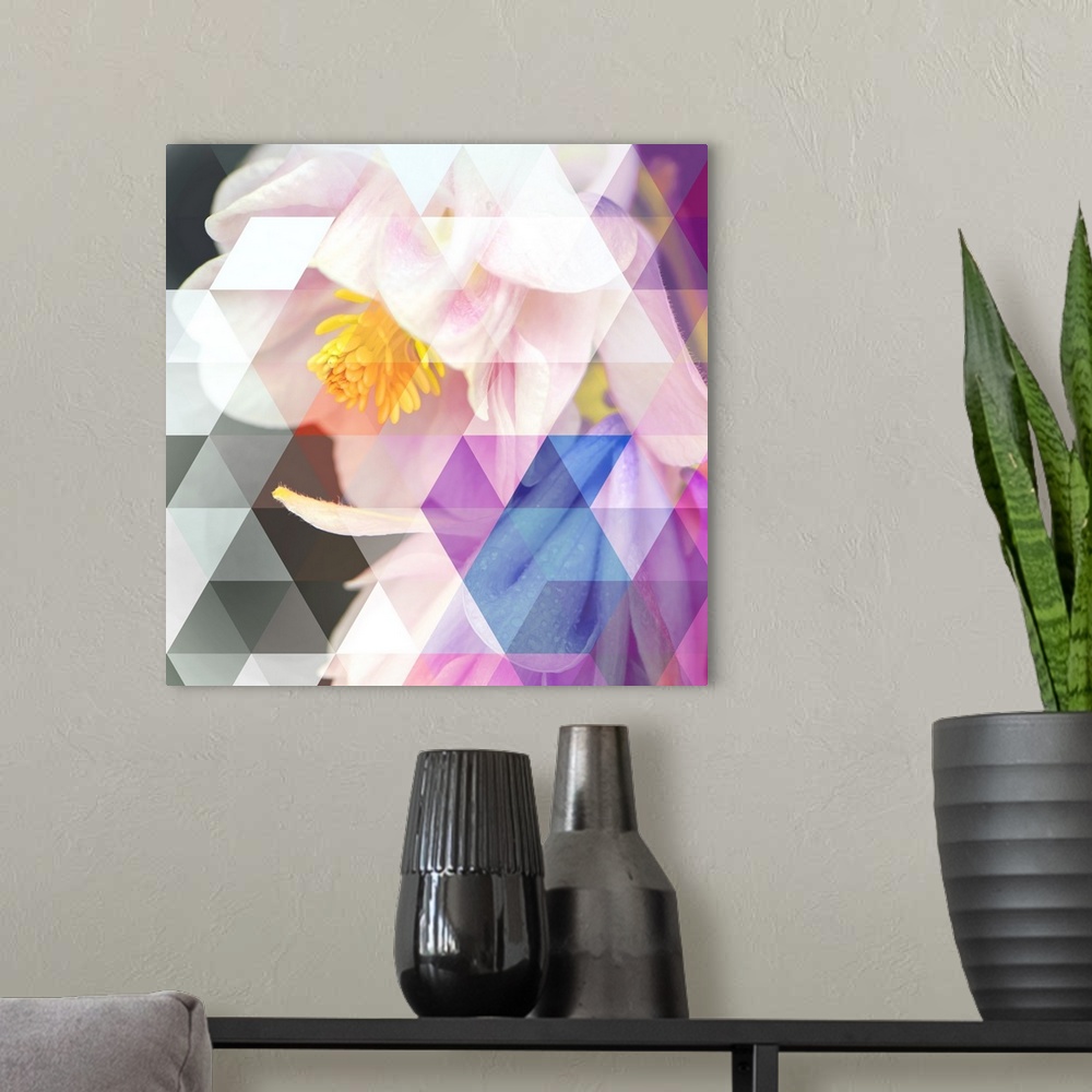 A modern room featuring Bellflowers embellished with a triangular geometric design.
