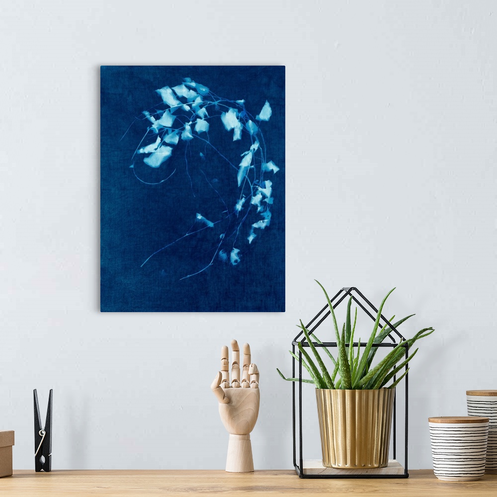 A bohemian room featuring Cyanotype Plant 4