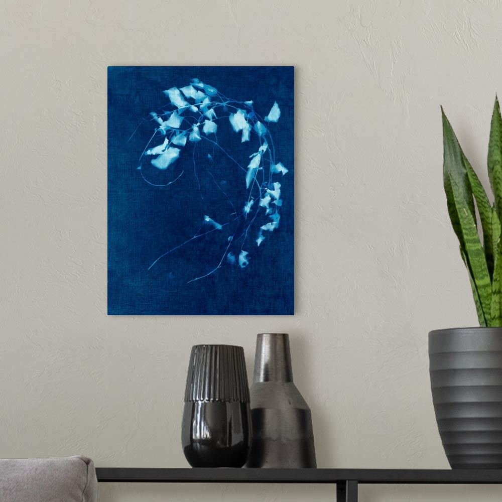 A modern room featuring Cyanotype Plant 4