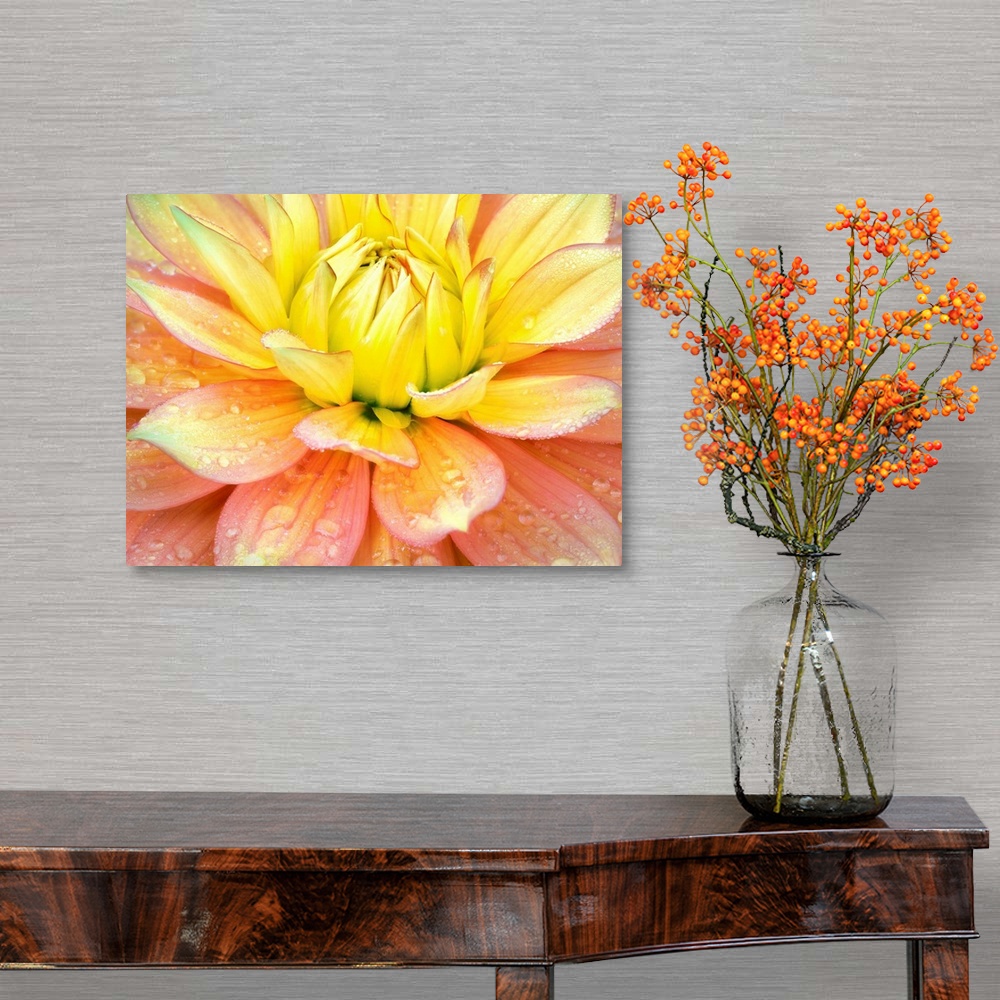 A traditional room featuring Dahlia - Nature Series VI
