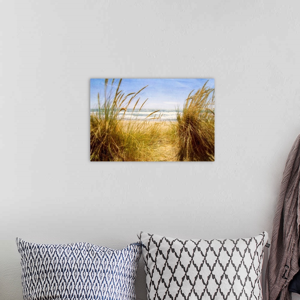 A bohemian room featuring Photograph of tall grass on the beach with ocean in the distance.