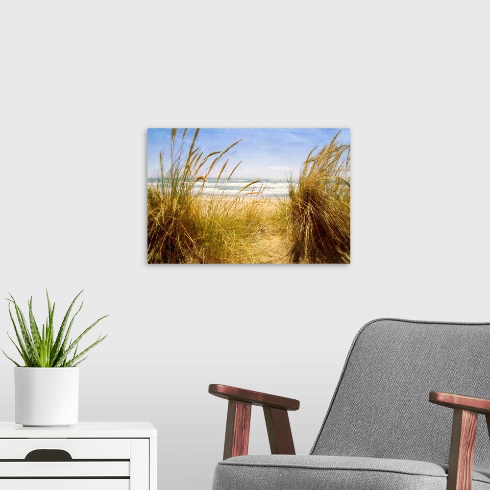 A modern room featuring Photograph of tall grass on the beach with ocean in the distance.