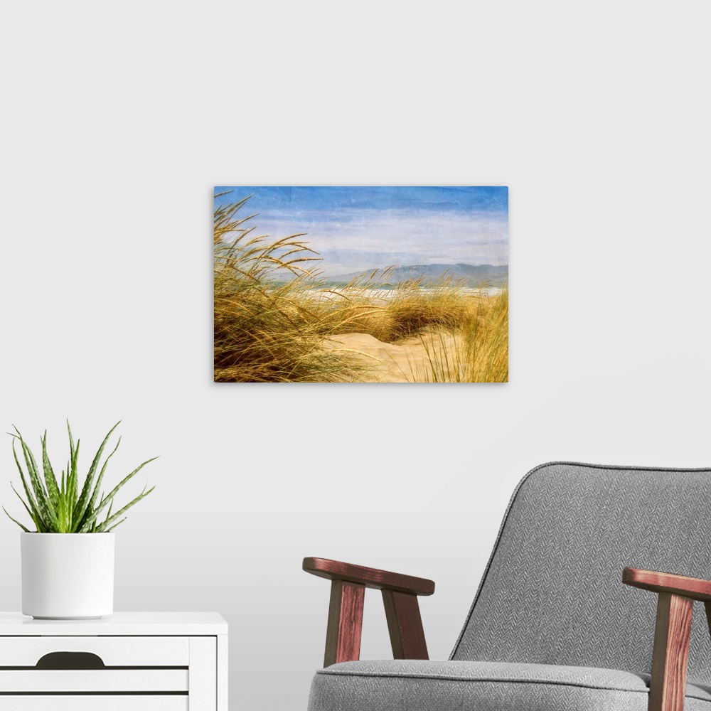 A modern room featuring Dune Grass IV