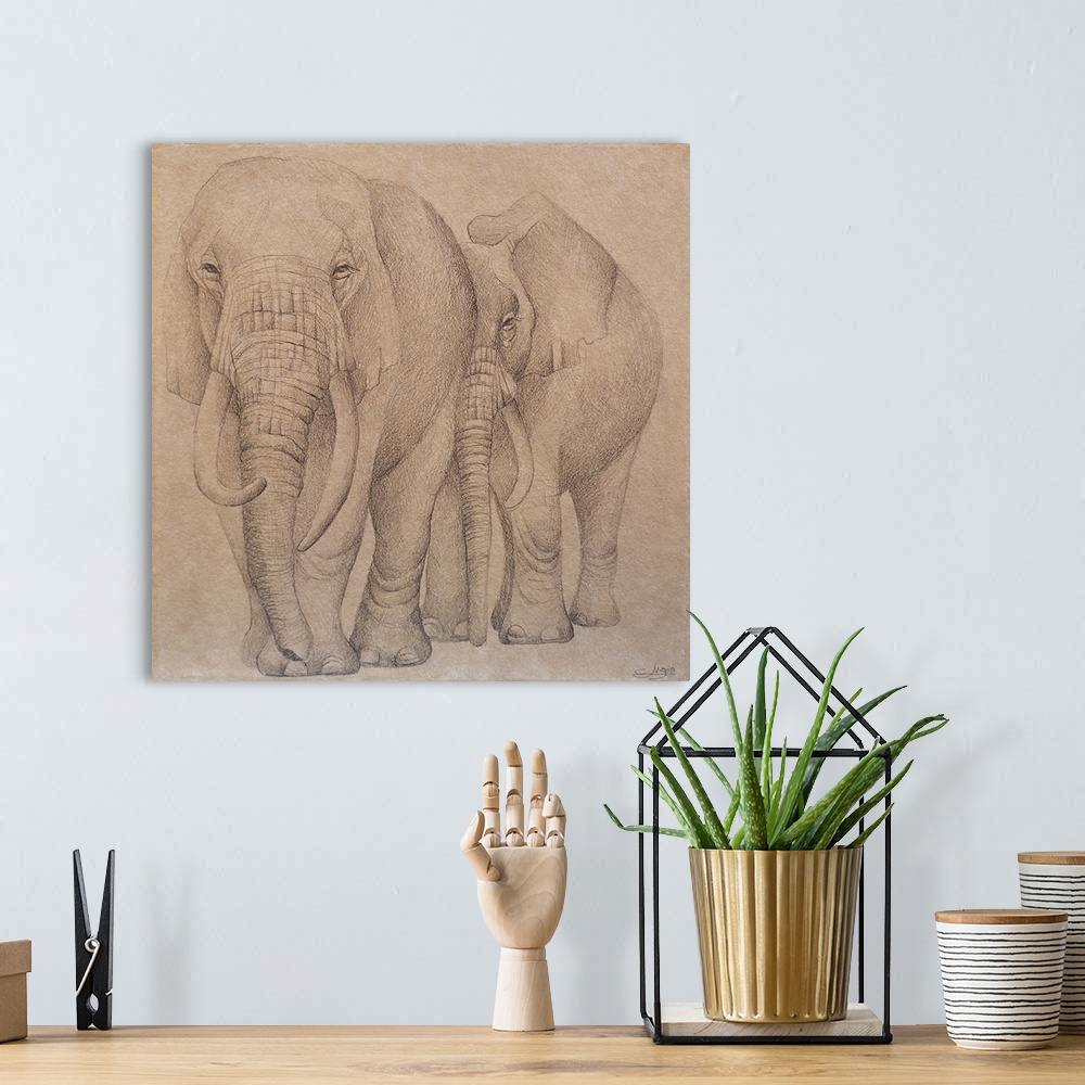 A bohemian room featuring Elefantes en el Papel Dos