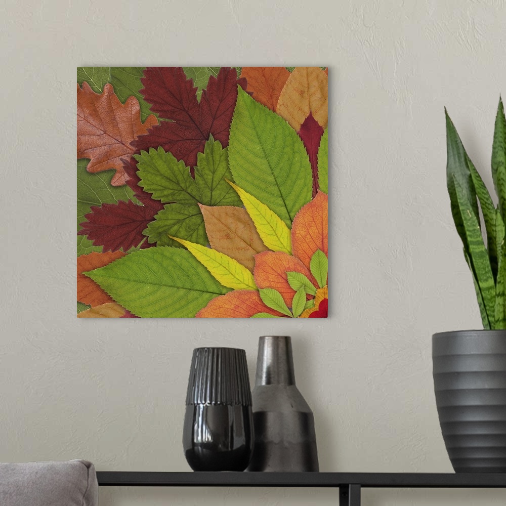 A modern room featuring Fall Leaf Mandala 1