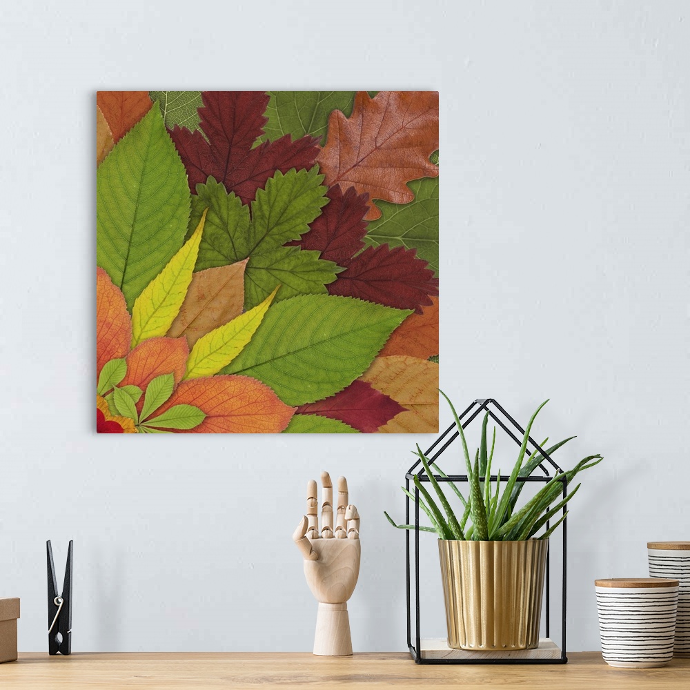 A bohemian room featuring Fall Leaf Mandala 2