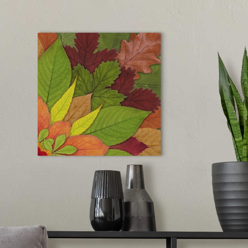 A modern room featuring Fall Leaf Mandala 2