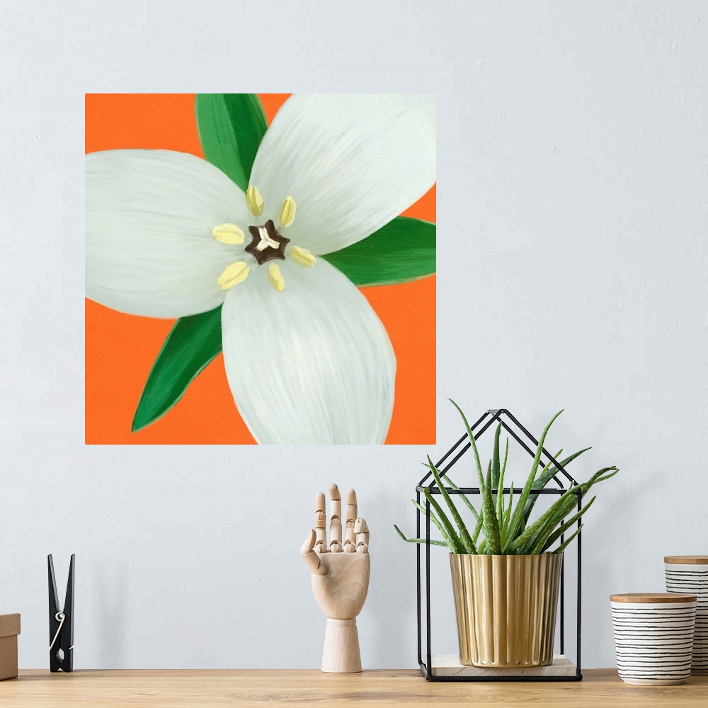 A bohemian room featuring A contemporary painting of a close-up of a white flower against an orange background.