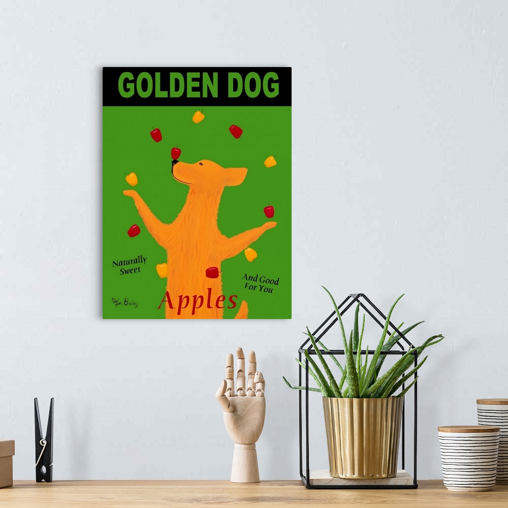 A bohemian room featuring Golden Dog