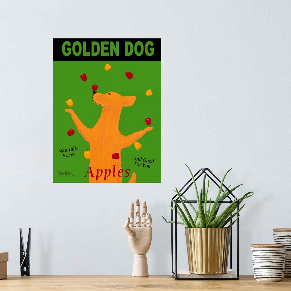 A bohemian room featuring Golden Dog