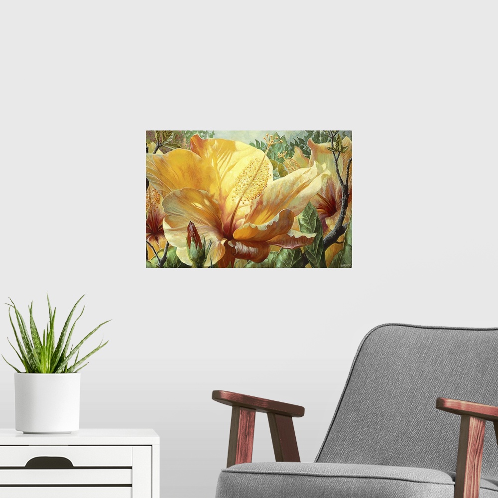 A modern room featuring Golden Hibiscus