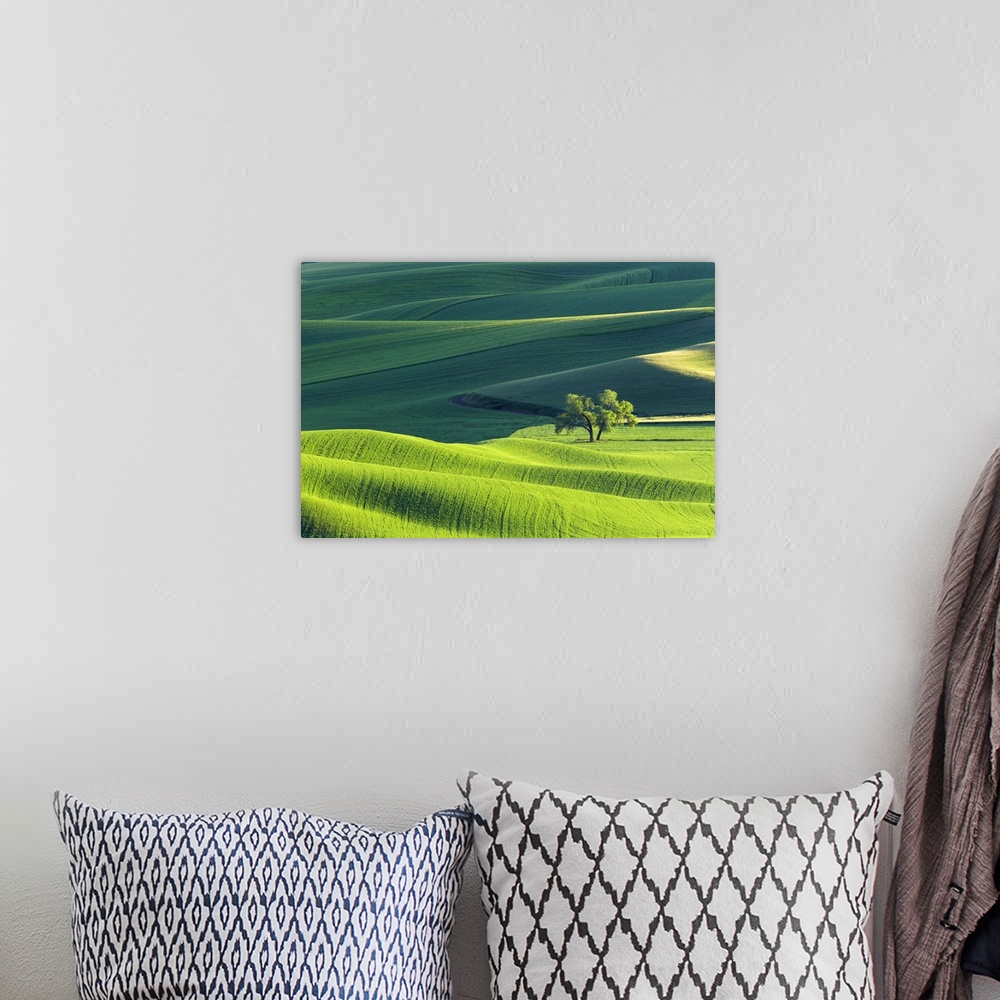 A bohemian room featuring Fine art photo of the rolling green hills of Palouse, Washington.