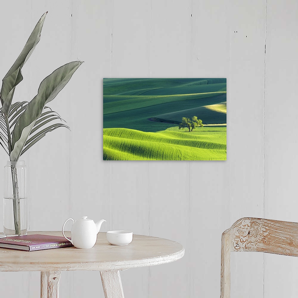 A farmhouse room featuring Fine art photo of the rolling green hills of Palouse, Washington.
