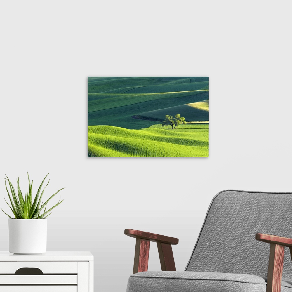 A modern room featuring Fine art photo of the rolling green hills of Palouse, Washington.