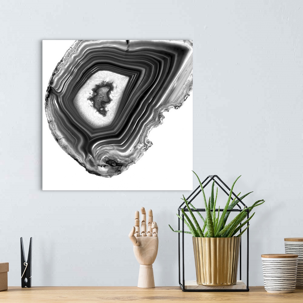 A bohemian room featuring A macro photograph of agate in gray tones.