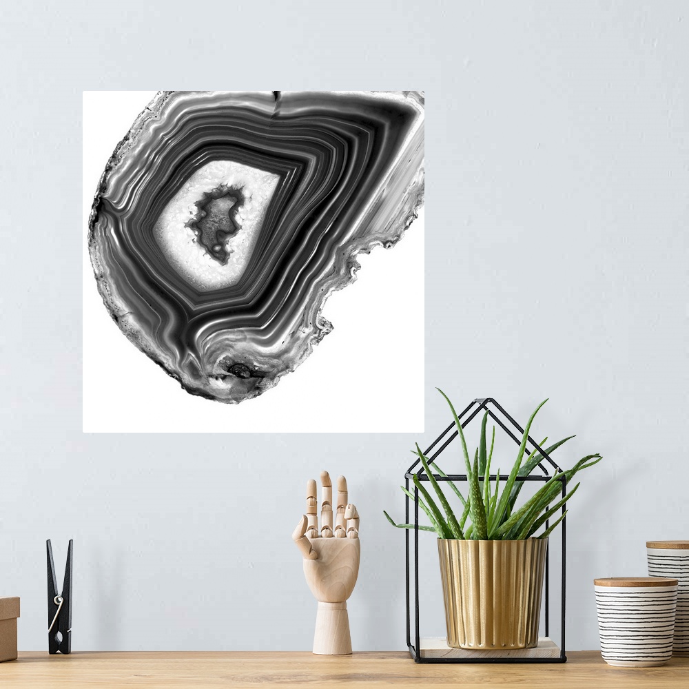 A bohemian room featuring A macro photograph of agate in gray tones.