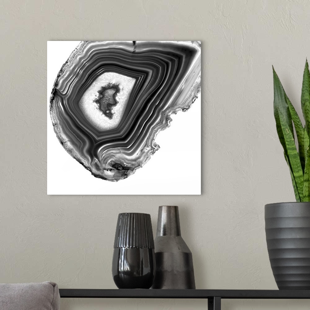 A modern room featuring A macro photograph of agate in gray tones.