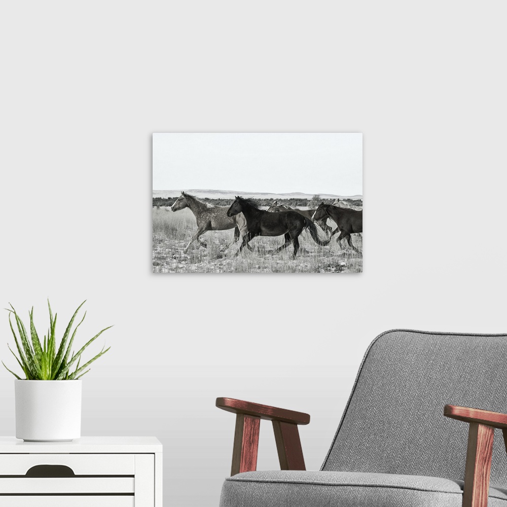 A modern room featuring Horse Fort Ranch 14