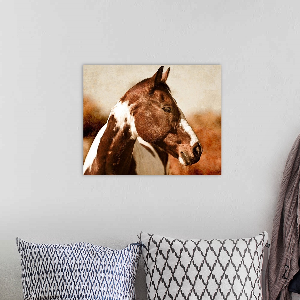 A bohemian room featuring Horse I