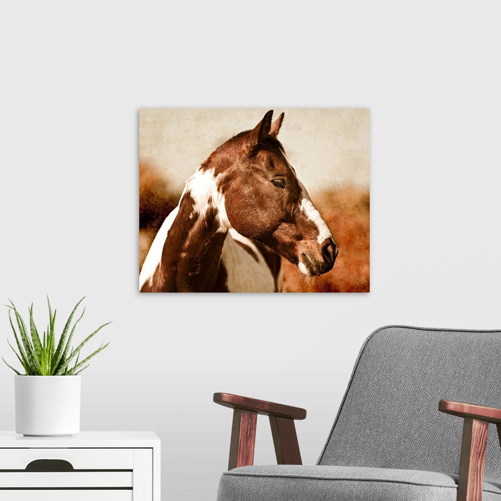 A modern room featuring Horse I