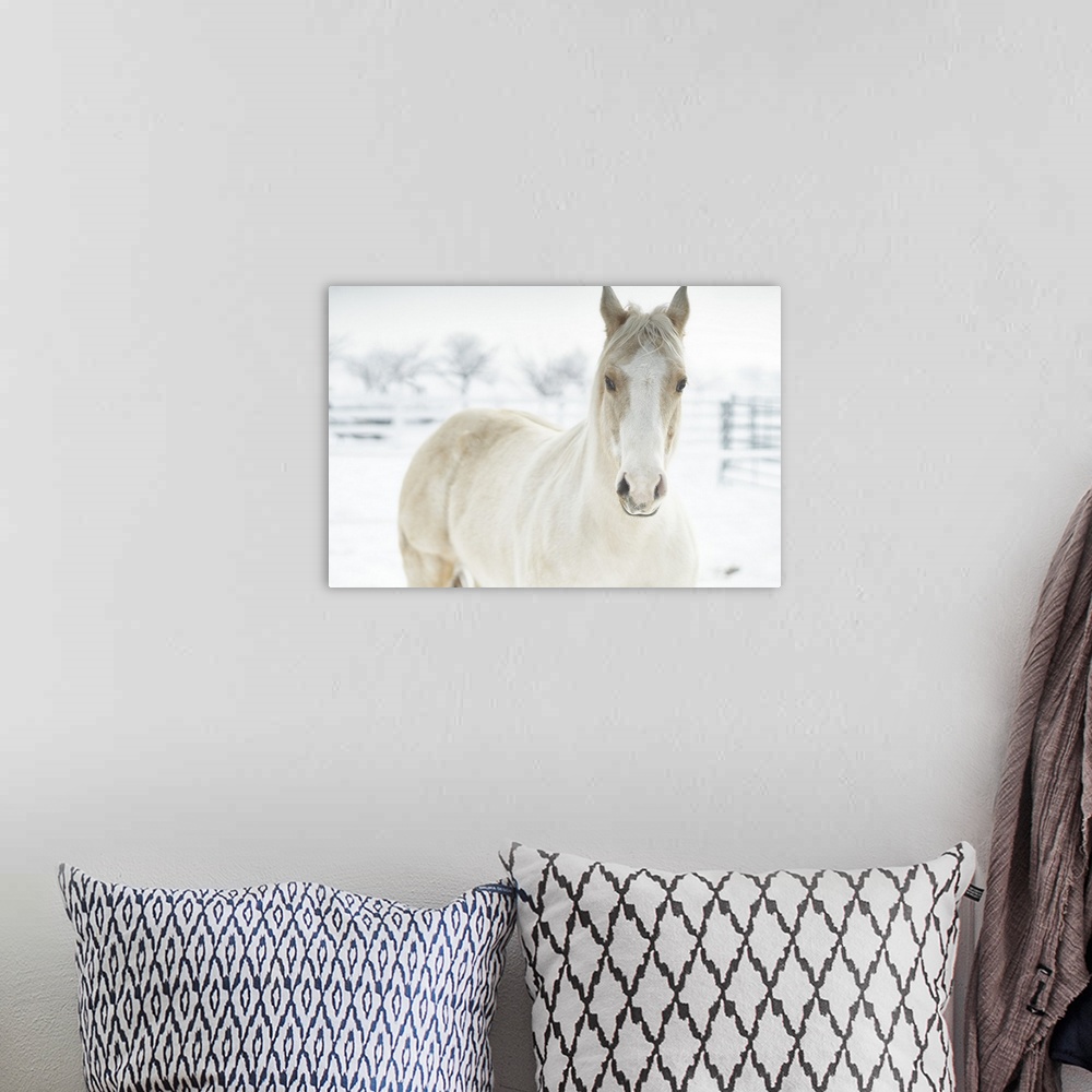 A bohemian room featuring Horse Mendon White