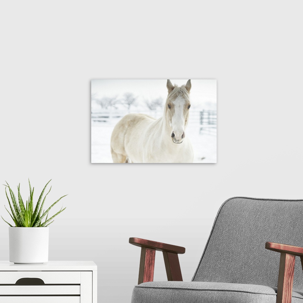 A modern room featuring Horse Mendon White