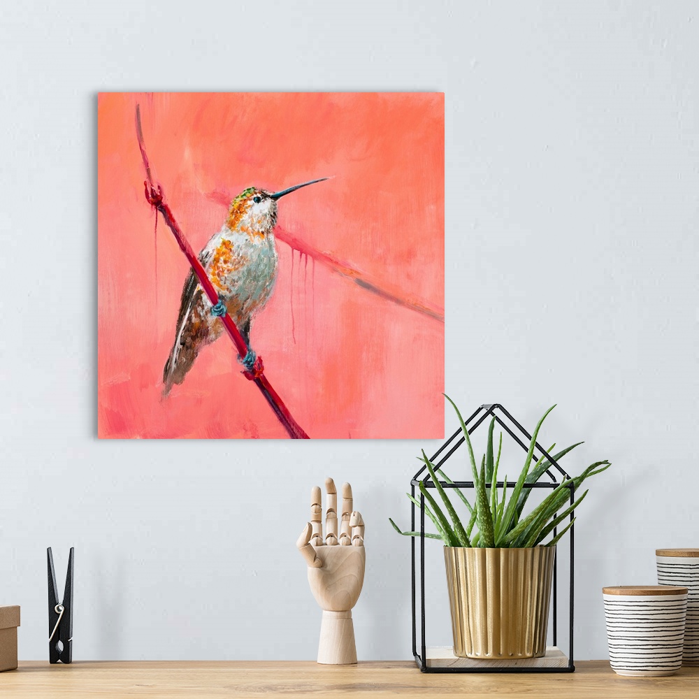 A bohemian room featuring Hummingbird 3
