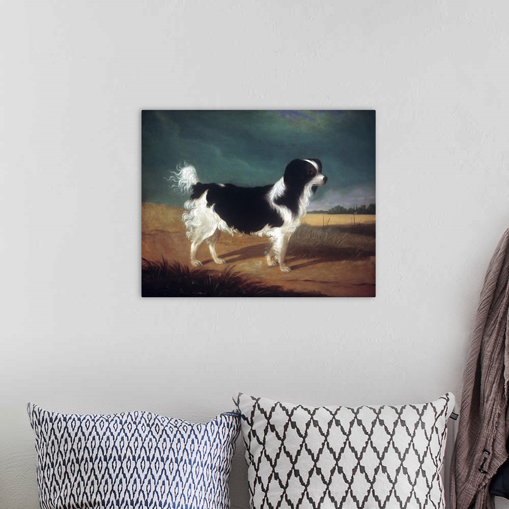 A bohemian room featuring Classic painting of a black and white King Charles Spaniel dog.