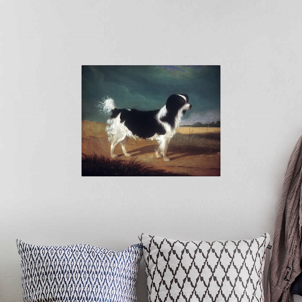 A bohemian room featuring Classic painting of a black and white King Charles Spaniel dog.