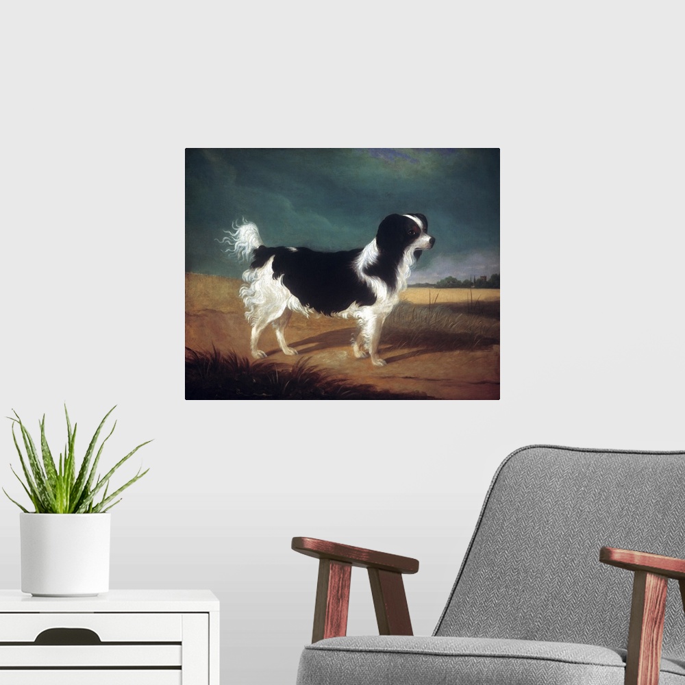 A modern room featuring Classic painting of a black and white King Charles Spaniel dog.