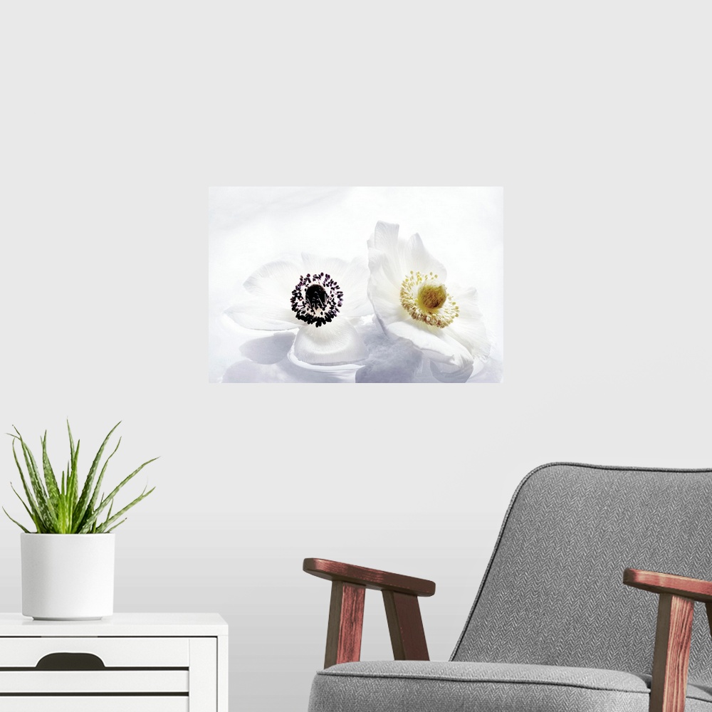 A modern room featuring Les Fleurs Immobiles I