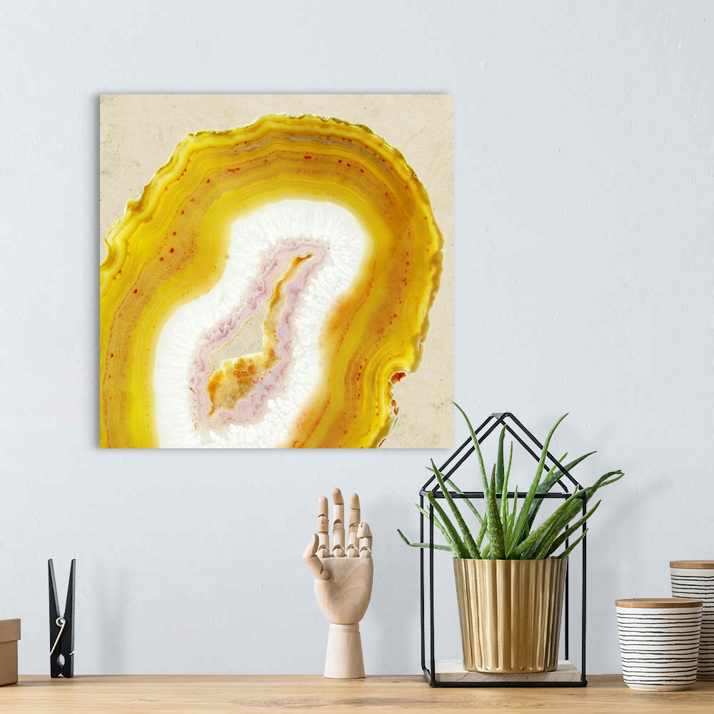 A bohemian room featuring Limoncello Agate II