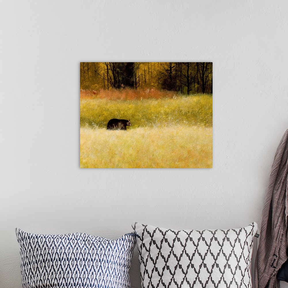 A bohemian room featuring Contemporary painting of a black bear walking on all fours through a field of tall grass.