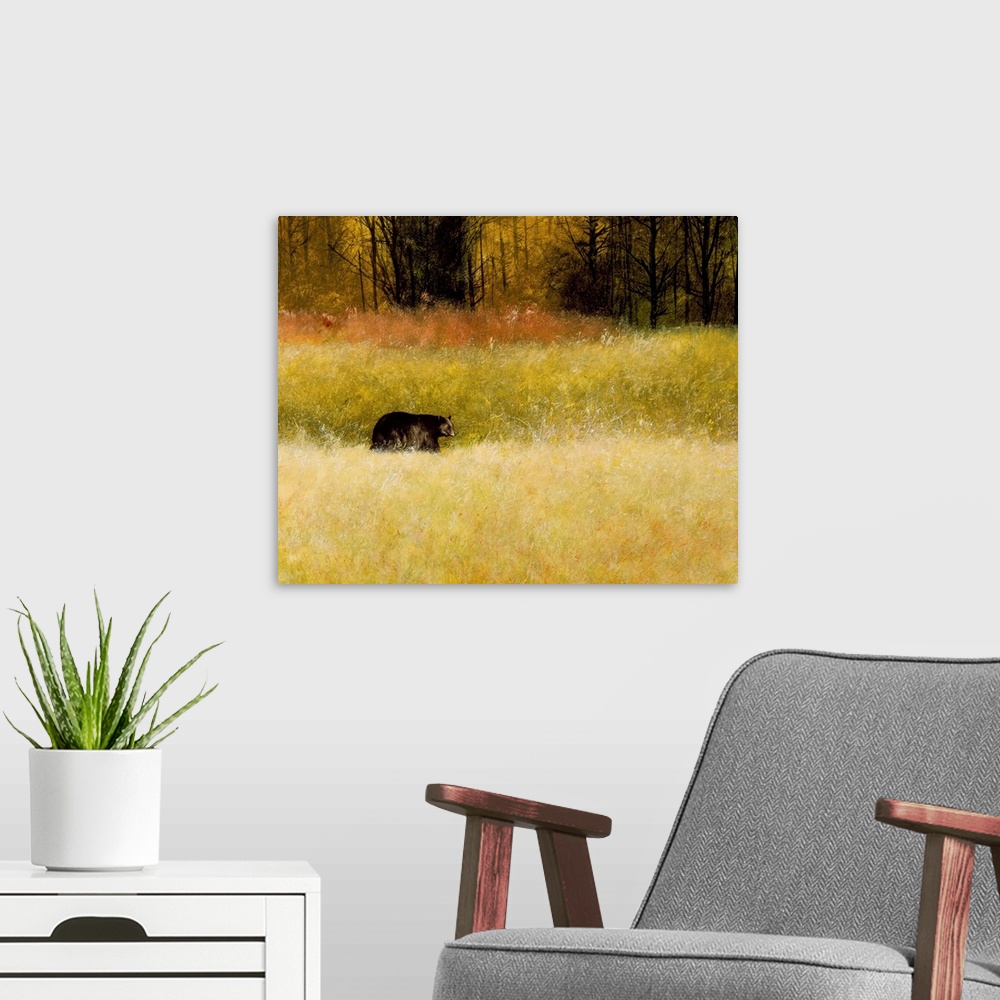 A modern room featuring Contemporary painting of a black bear walking on all fours through a field of tall grass.