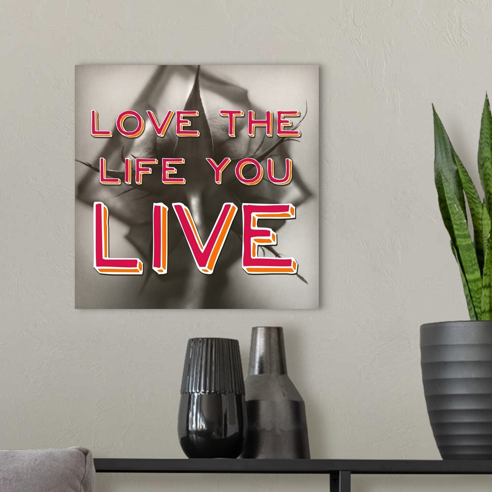 A modern room featuring Love the Life You Live