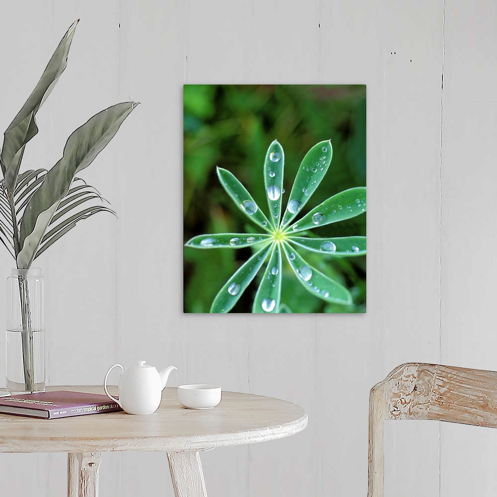A farmhouse room featuring Lupine Leaves - Nature Series 846
