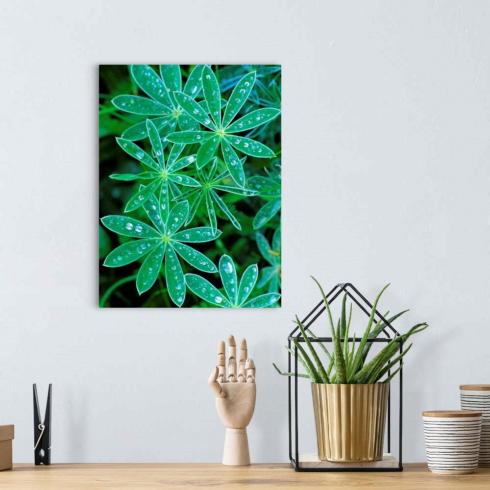 A bohemian room featuring Lupine Leaves - Nature Series 862