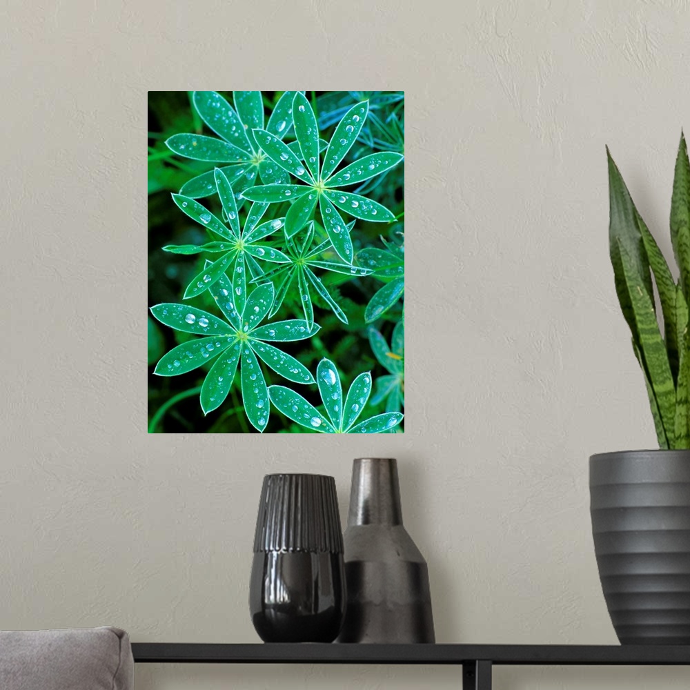 A modern room featuring Lupine Leaves - Nature Series 862
