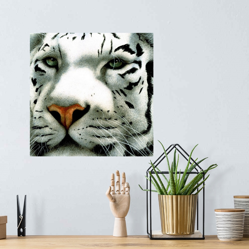 A bohemian room featuring Up-close photograph of a white tiger's face.