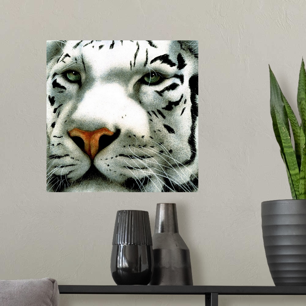 A modern room featuring Up-close photograph of a white tiger's face.