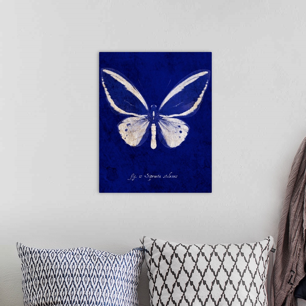 A bohemian room featuring Malachite Butterfly Cyanotype