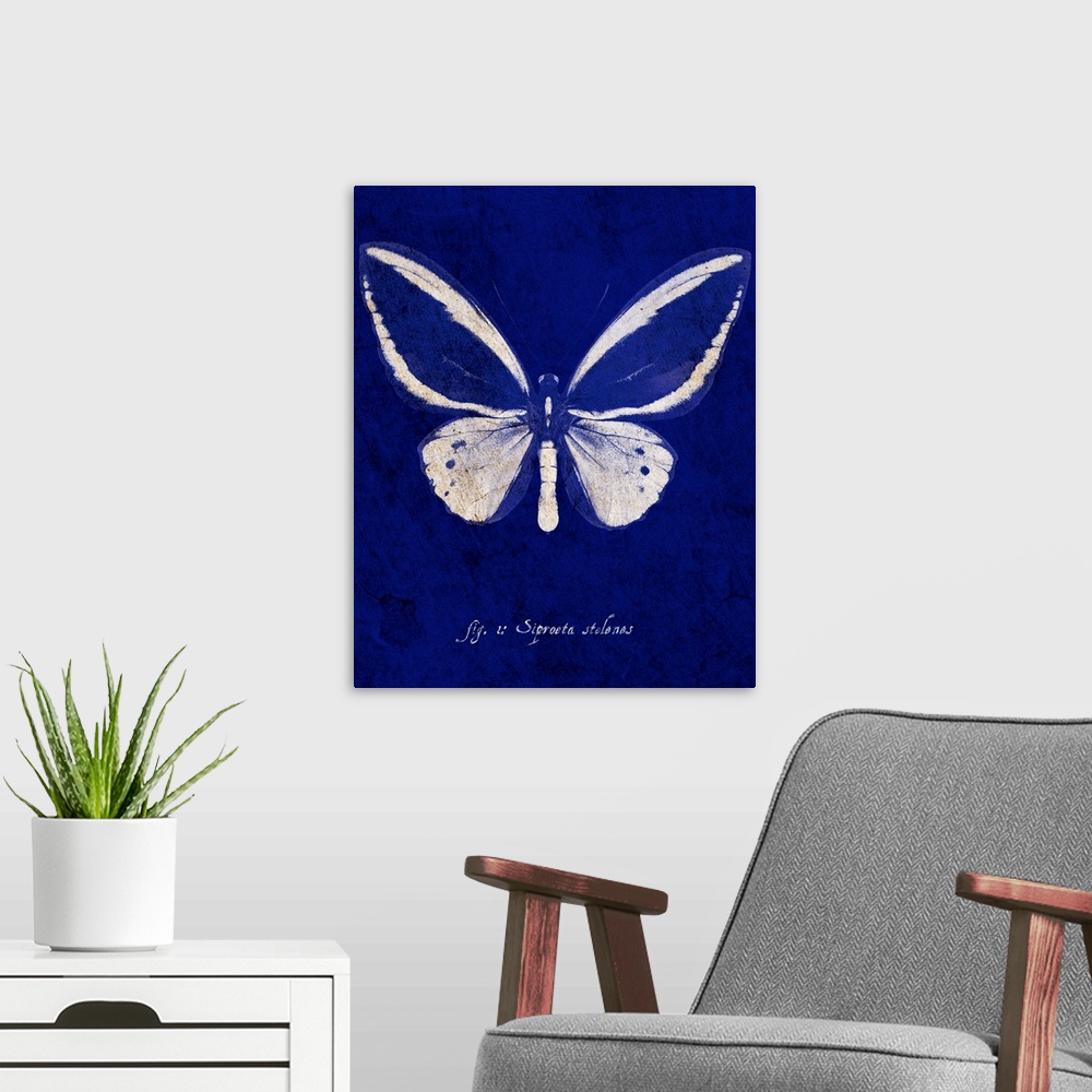 A modern room featuring Malachite Butterfly Cyanotype