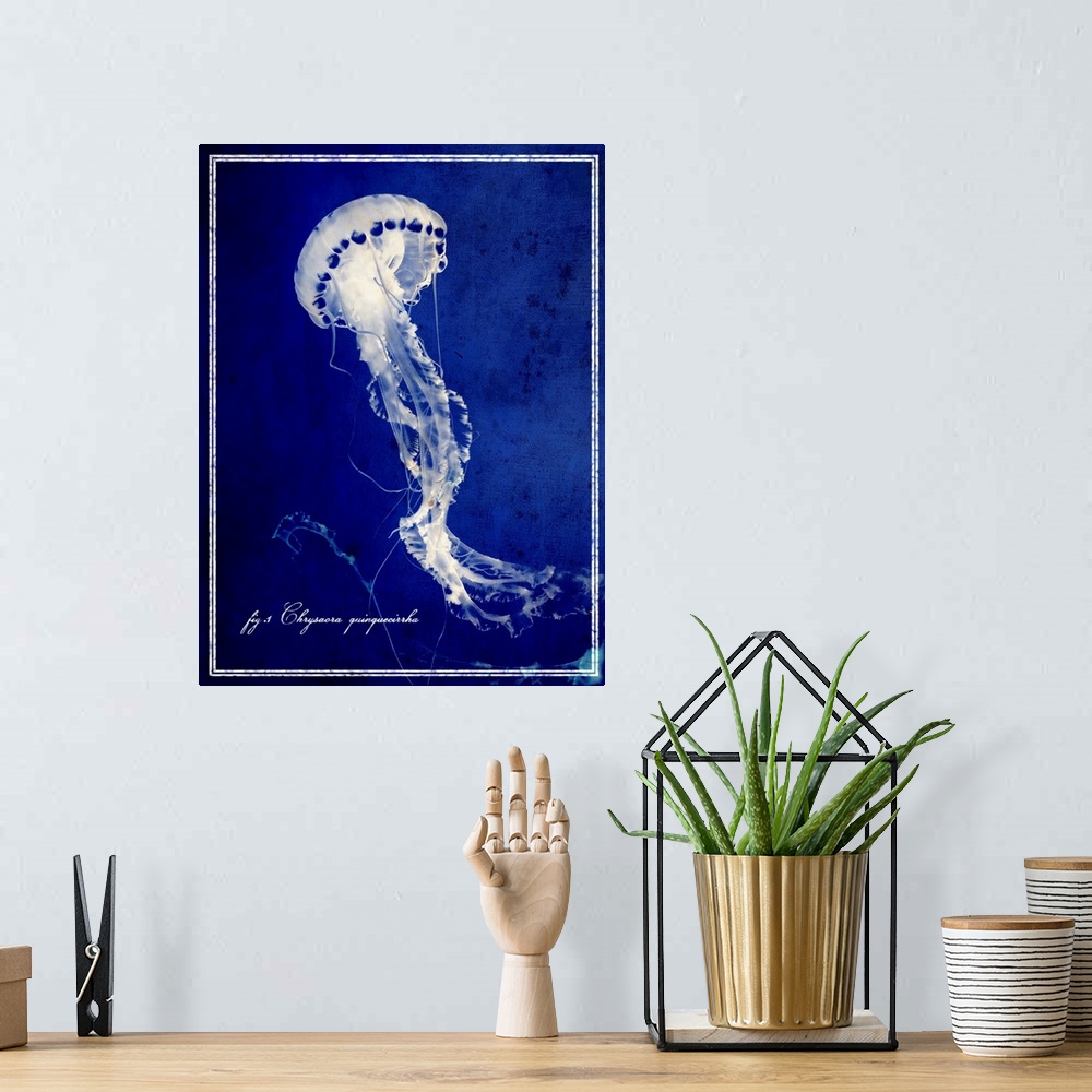 A bohemian room featuring Big vertical wall hanging of a jellyfish on a deep blue background, with script text in the lower...