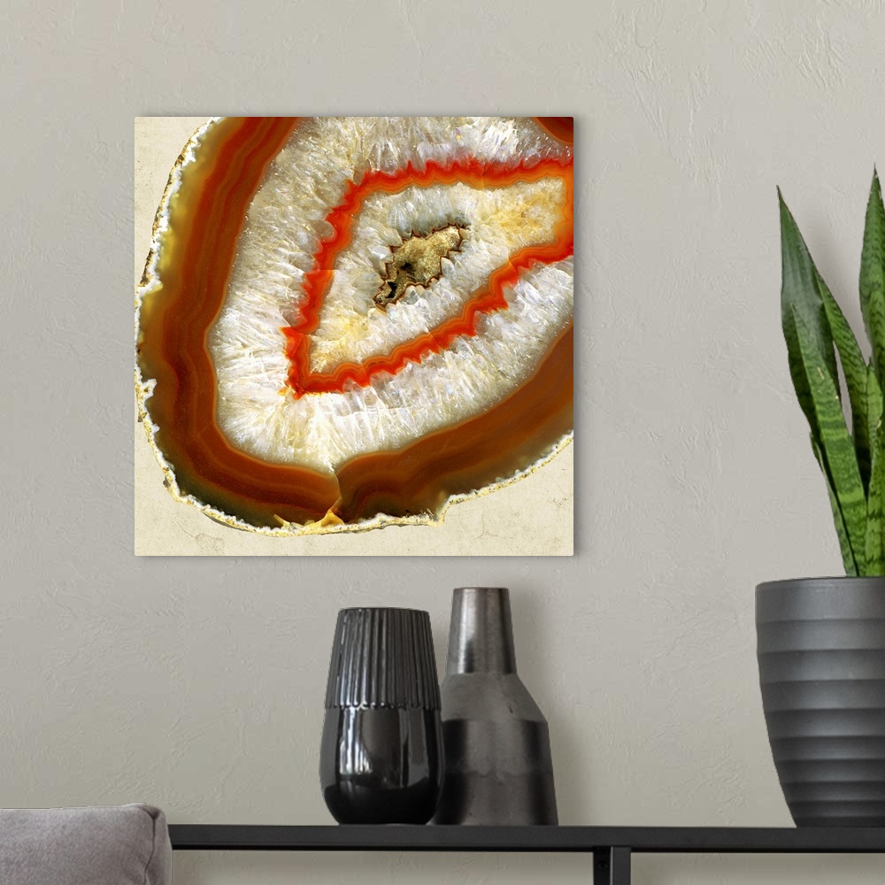 A modern room featuring Natural Agate II