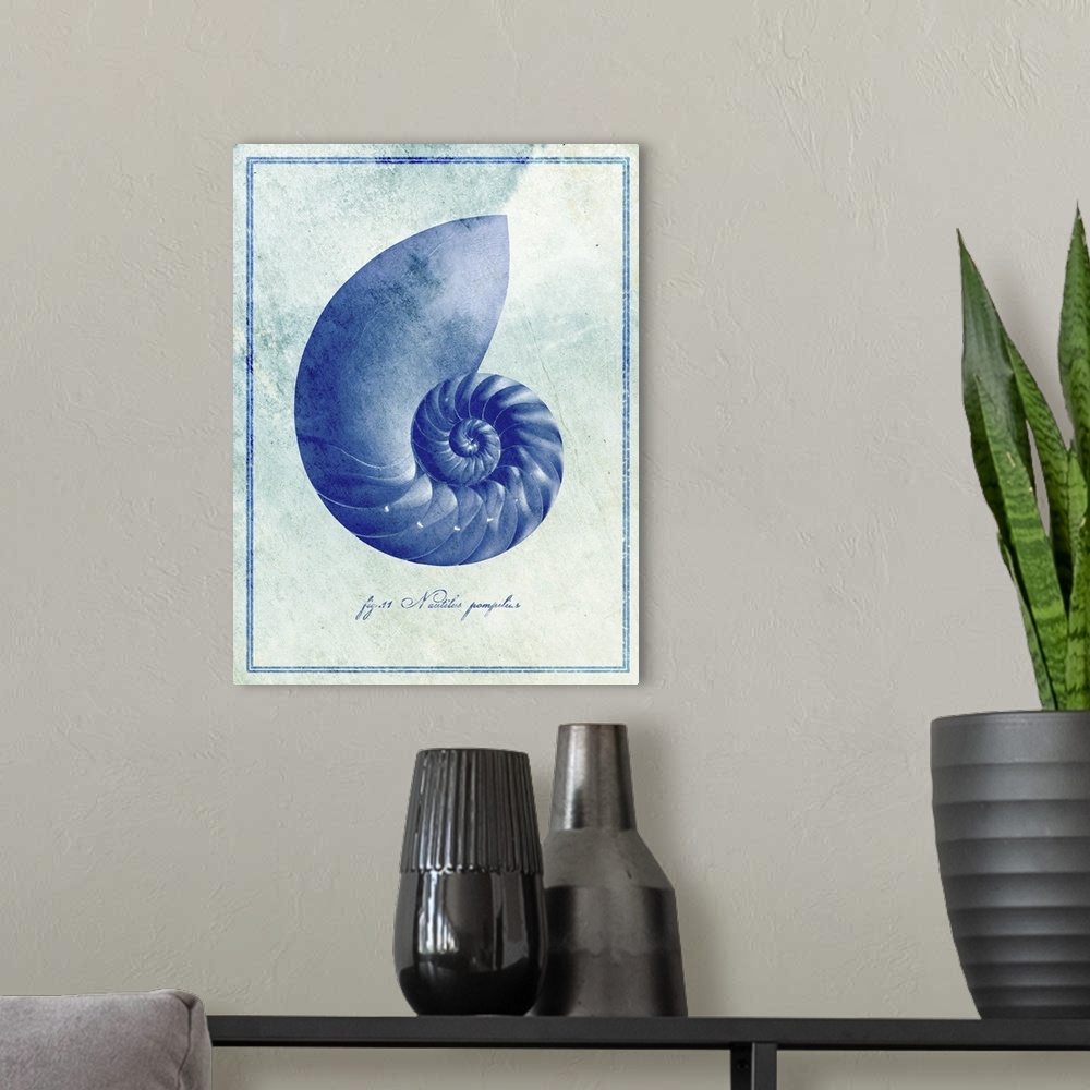 A modern room featuring Nautilus Shell II