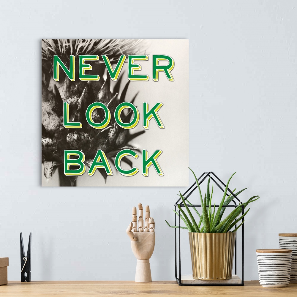 A bohemian room featuring Never Look Back