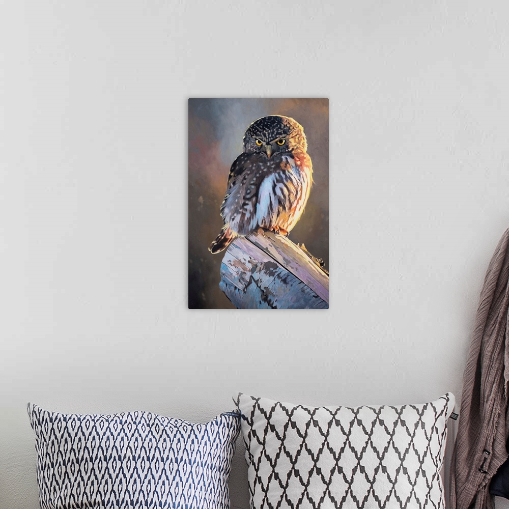 A bohemian room featuring A contemporary painting of a pygmy owl.