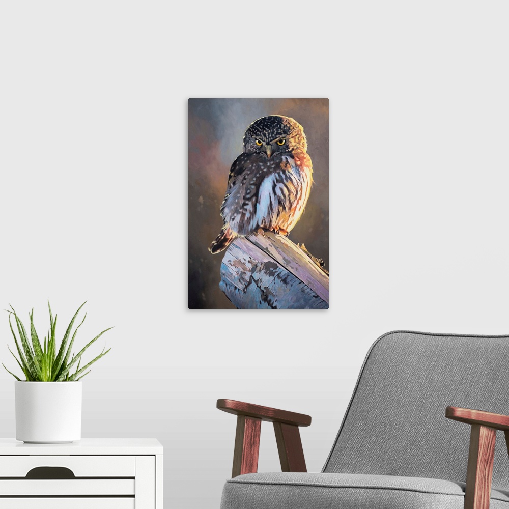 A modern room featuring A contemporary painting of a pygmy owl.