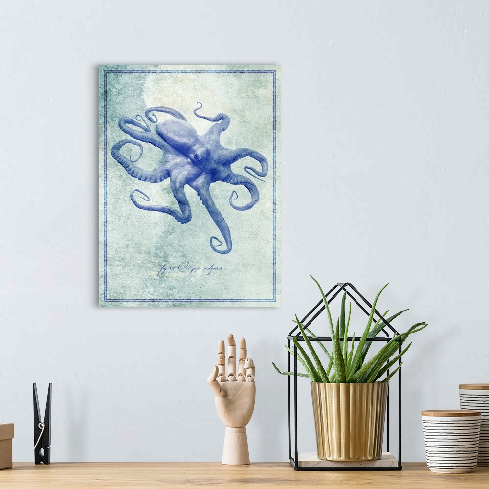 A bohemian room featuring Octopus II
